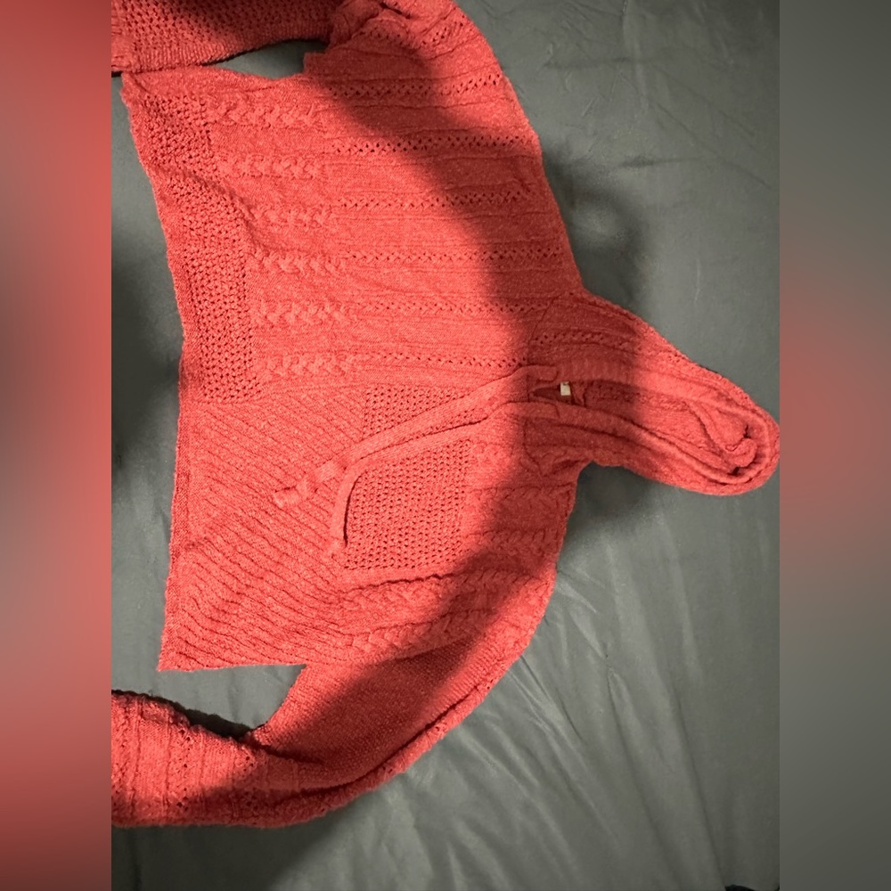 American Eagle Crop Top Sweater